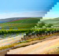 Full Day Tamar Valley Wine Tour - Accommodation Brisbane