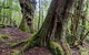 3-Day Cradle Mountain Photography Workshop - thumb 6