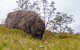 3-Day Cradle Mountain Photography Workshop - thumb 7