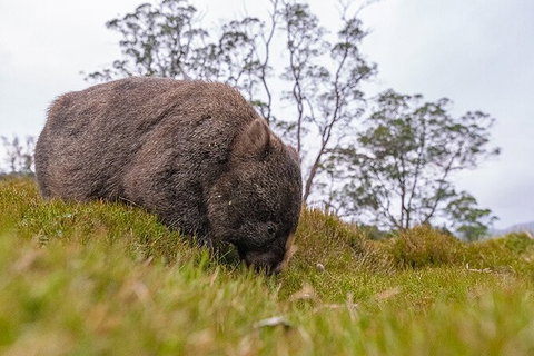 3-Day Cradle Mountain Photography Workshop - Accommodation Brisbane 7