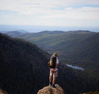 Mount Field National Park - Tarn Shelf  Russell Falls - Guided Hiking Tour - Accommodation Brisbane