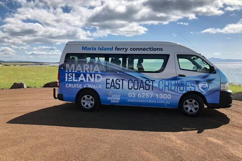 Maria Island Shuttle Bus Hobart To Triabunna (Round Trip) - Accommodation Brisbane 5