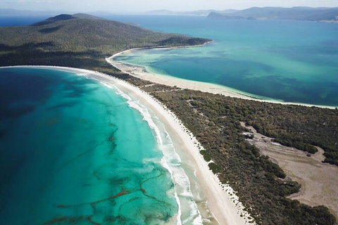 Maria Island Shuttle Bus Hobart To Triabunna (Round Trip) - Accommodation Brisbane 10