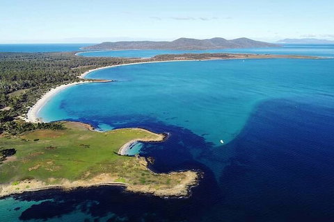 Maria Island Shuttle Bus Hobart To Triabunna (Round Trip) - Accommodation Brisbane 9