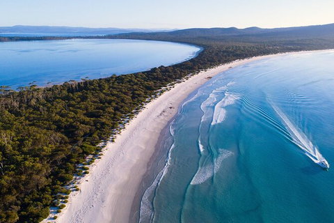 Maria Island Shuttle Bus Hobart To Triabunna (Round Trip) - Accommodation Brisbane 6