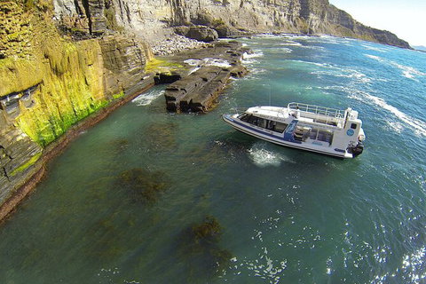 Maria Island Shuttle Bus Hobart To Triabunna (Round Trip) - Accommodation Brisbane 3