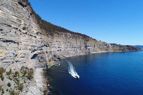 Maria Island Shuttle Bus Hobart To Triabunna (Round Trip) - Accommodation Brisbane 11
