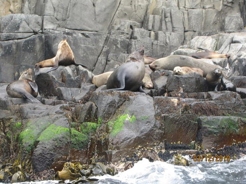 Full-Day Bruny Island Tour From Hobart - Accommodation Brisbane 2