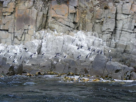 Full-Day Bruny Island Tour From Hobart - Accommodation Brisbane 24