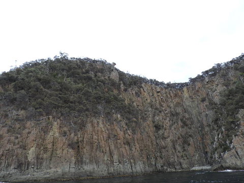 Full-Day Bruny Island Tour From Hobart - Accommodation Brisbane 12