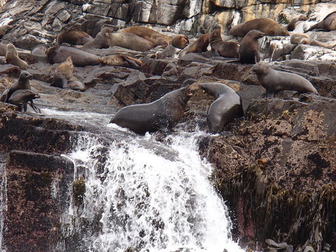 Full-Day Bruny Island Tour From Hobart - Accommodation Brisbane 21