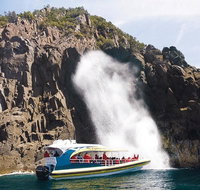 Full-Day Bruny Island Tour from Hobart - Accommodation Brisbane