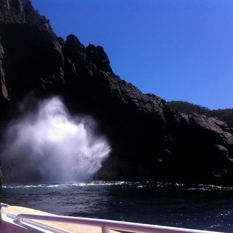 Full-Day Bruny Island Tour From Hobart - Accommodation Brisbane 18