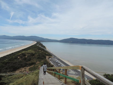 Full-Day Bruny Island Tour From Hobart - Accommodation Brisbane 14