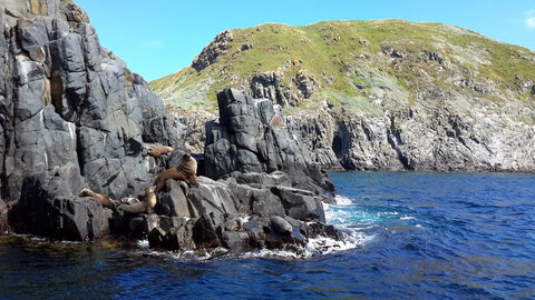 Full-Day Bruny Island Tour From Hobart - Accommodation Brisbane 6