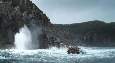 Full-Day Bruny Island Tour From Hobart - Accommodation Brisbane 22