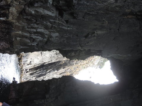 Full-Day Bruny Island Tour From Hobart - Accommodation Brisbane 9