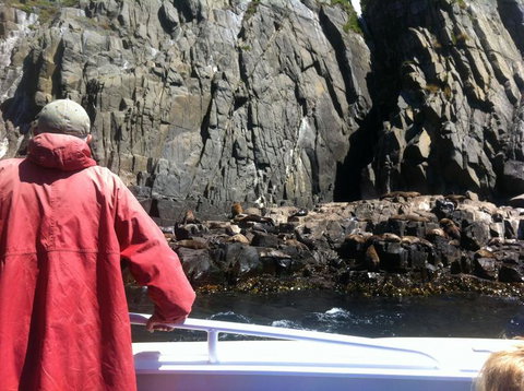 Full-Day Bruny Island Tour From Hobart - Accommodation Brisbane 19