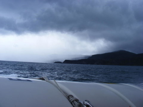 Full-Day Bruny Island Tour From Hobart - Accommodation Brisbane 23