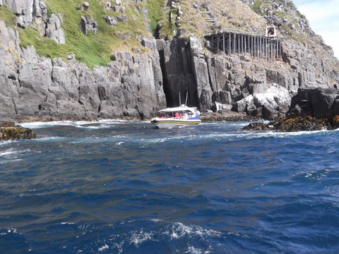 Day Trip To Tasman Peninsula And Port Arthur Historic Site From Hobart - Accommodation Brisbane 5