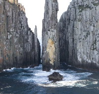 Day Trip to Tasman Peninsula and Port Arthur Historic Site from Hobart - Accommodation Brisbane