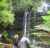 Mt Field National Park and Russell Falls from Hobart - Accommodation Brisbane