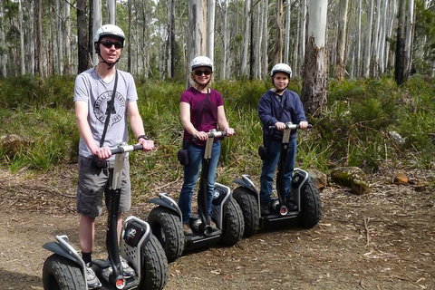 Hollybank Wilderness Adventures - Segway Tour - Accommodation Brisbane 1
