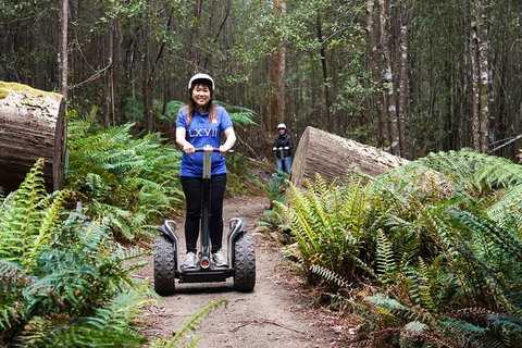 Hollybank Wilderness Adventures - Segway Tour - Accommodation Brisbane 2