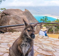Wineglass Bay  Freycinet NP Full Day Tour from Hobart via Richmond Village - Accommodation Brisbane