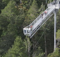 Cruise Ship Special from Hobart Mt Wellington and Tahune AirWalk - Accommodation Brisbane