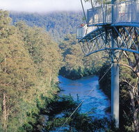 Small-groupTour from Hobart Mt. Wellington Huon Valley and Tahune AirWalk - Accommodation Brisbane