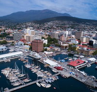 Private City Sights Half Day Trip from Hobart - Accommodation Brisbane