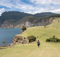 Maria Island National Park - Day Walk and Picnic Lunch - Accommodation Brisbane