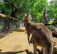 Wilderness and Wildlife - Accommodation Brisbane