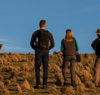 Small Group Tasmanias Wilderness And Wildlife Day Tour - Accommodation Brisbane