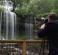 Mt Field and Styx Valley Photography Tour - Accommodation Brisbane