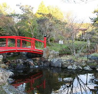 Small-group tour from Hobart Native Flora and Fauna incl. Royal Bot. Gardens - Accommodation Brisbane