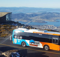 Kunany / Mt Wellington Explorer Bus - 2 Hour Return Tour - Accommodation Brisbane