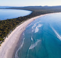Maria Island Cruise  Walk. Renowned day tour with drinks and guided walk - Accommodation Brisbane
