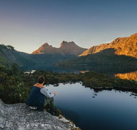 Highlights of Tasmania 5-Day Small-Group Tour from Hobart - Accommodation Brisbane