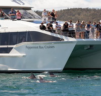 The Peppermint Bay Lunch Cruise from Hobart - Accommodation Brisbane