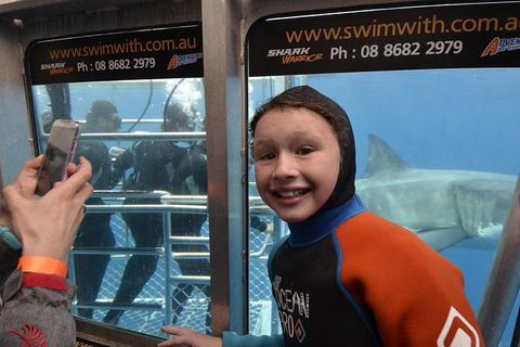 White Shark Tour With Optional Cage Dive From Port Lincoln - Accommodation Brisbane 8