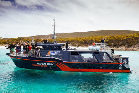 White Shark Tour With Optional Cage Dive From Port Lincoln - Accommodation Brisbane 7