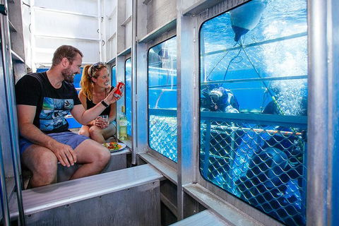 White Shark Tour With Optional Cage Dive From Port Lincoln - Accommodation Brisbane 4