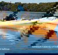 Adelaide Dolphin Sanctuary and Ships Graveyard Kayak Tour - Accommodation Brisbane