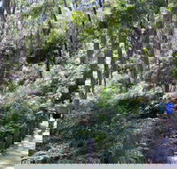 Self-Guided Waterfall Gully to Mount Lofty Hike from Adelaide - Accommodation Brisbane