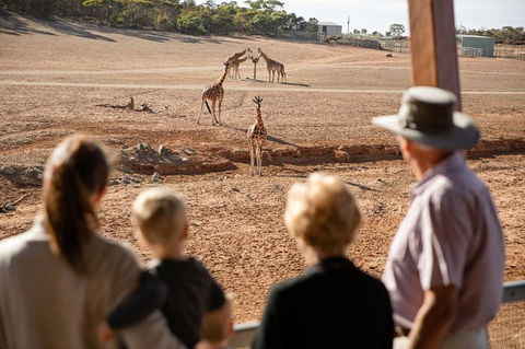 Monarto Safari Park General Admission Ticket - Accommodation Brisbane 0