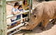 Monarto Safari Park General Admission Ticket - thumb 1