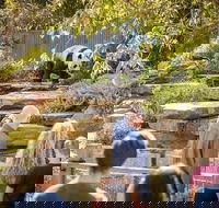 Adelaide Zoo Behind the Scenes Experience Panda and Friends Tour - Accommodation Brisbane