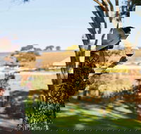 Micro-Group McLaren Vale Wine Tour from Adelaide - Accommodation Brisbane